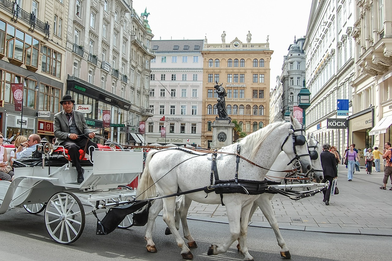 Primark Vídeň kam na vánoční trhy víden 2015