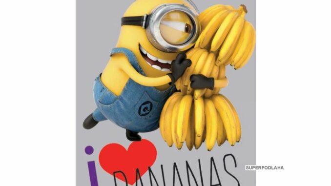 5762_banannas